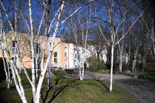 Stephanus-Schule